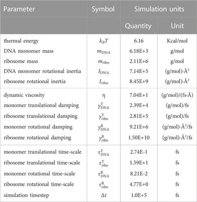 Dynamics of chromosome organization in a minimal bacterial cell